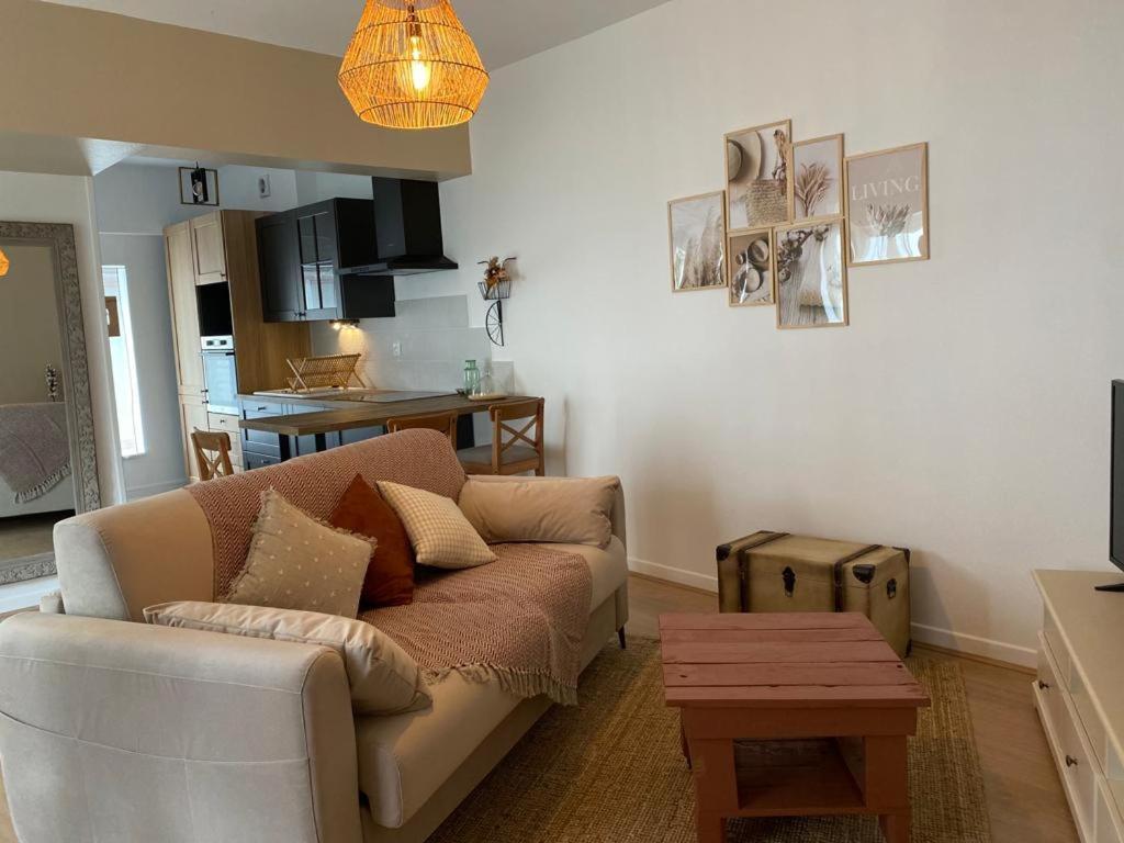 Apartment Cosy En Centre Avec Et Jardin Dijon