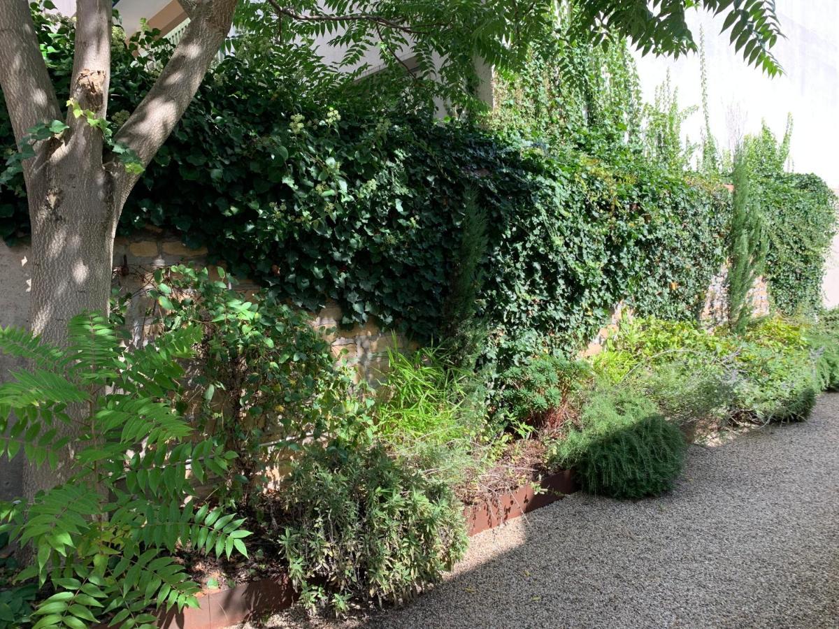 Cosy En Centre Avec Et Jardin